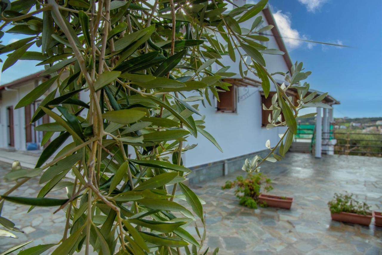 Eleonas Holiday Home Apartment Agios Stefanos Avliotes  Bagian luar foto