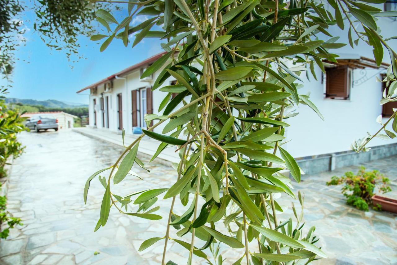 Eleonas Holiday Home Apartment Agios Stefanos Avliotes  Bagian luar foto